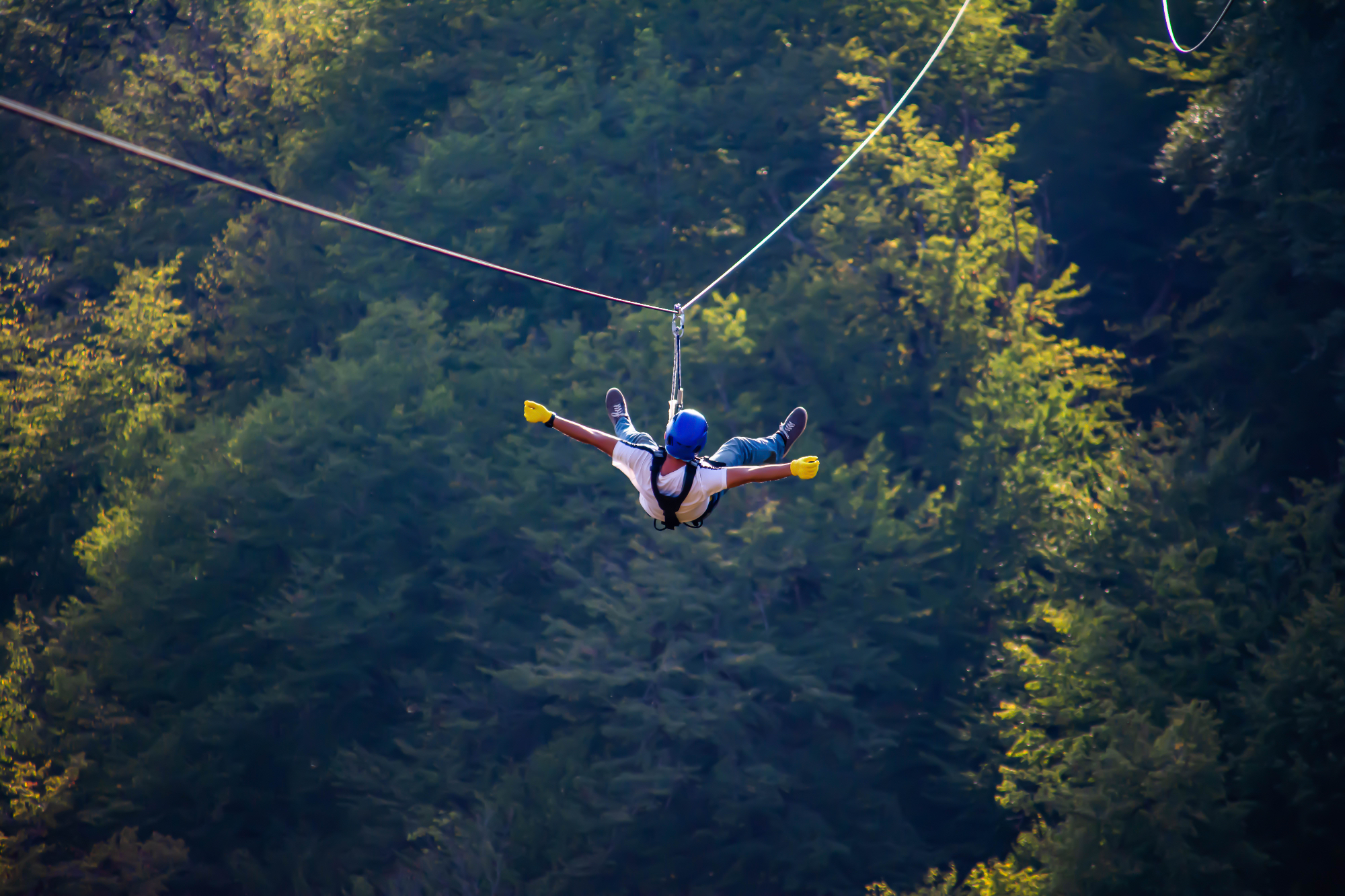 Ultimate Guide to Ziplining in Slovenia